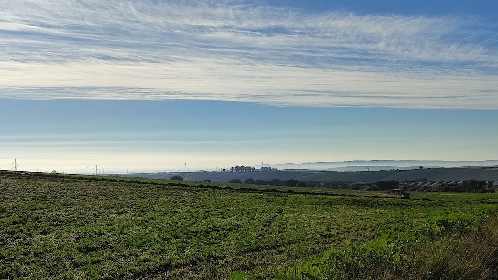 Ruta Las Pajanosas - Guillena