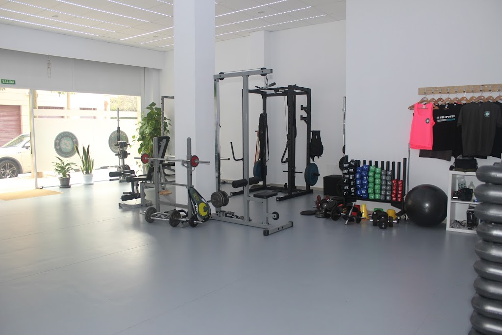 Willpower Mallorca