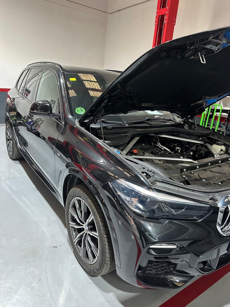 RT AUTOMOCIO — Del propietario