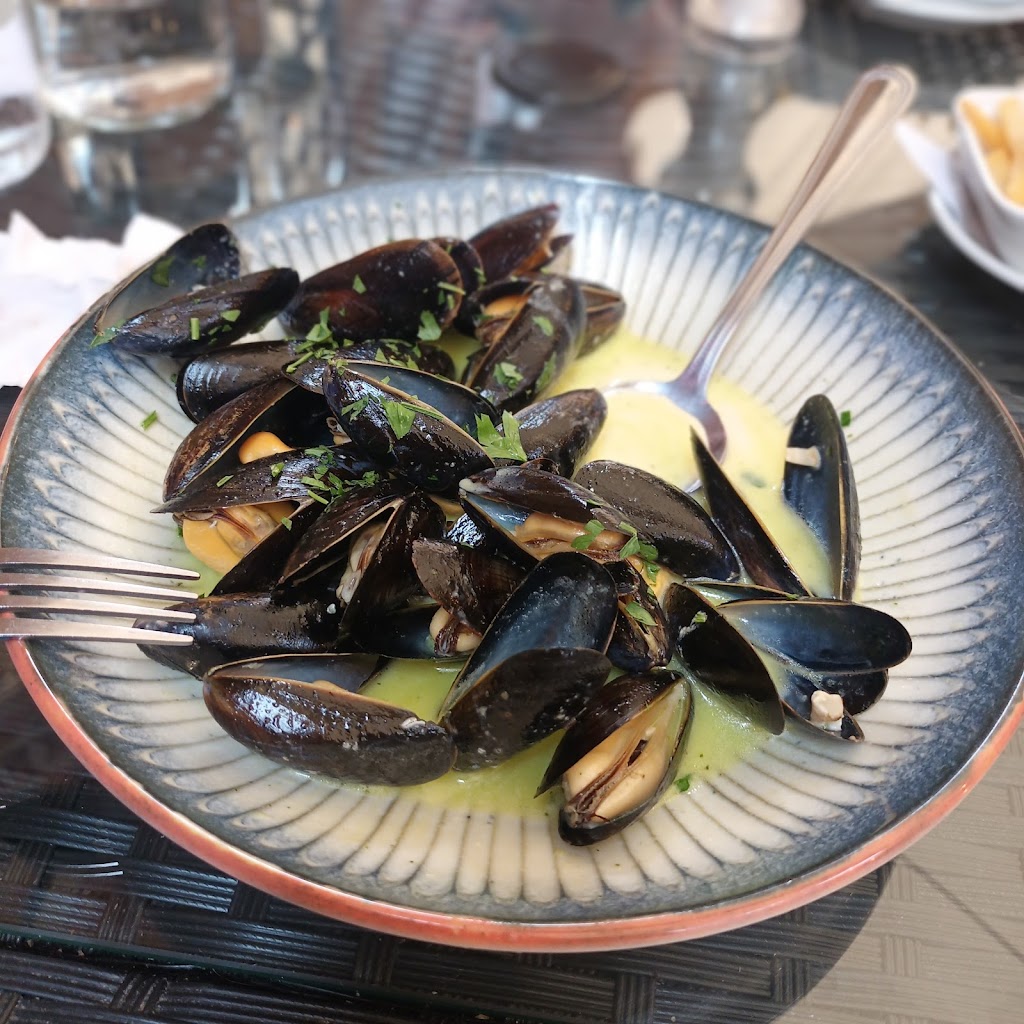 Mussels