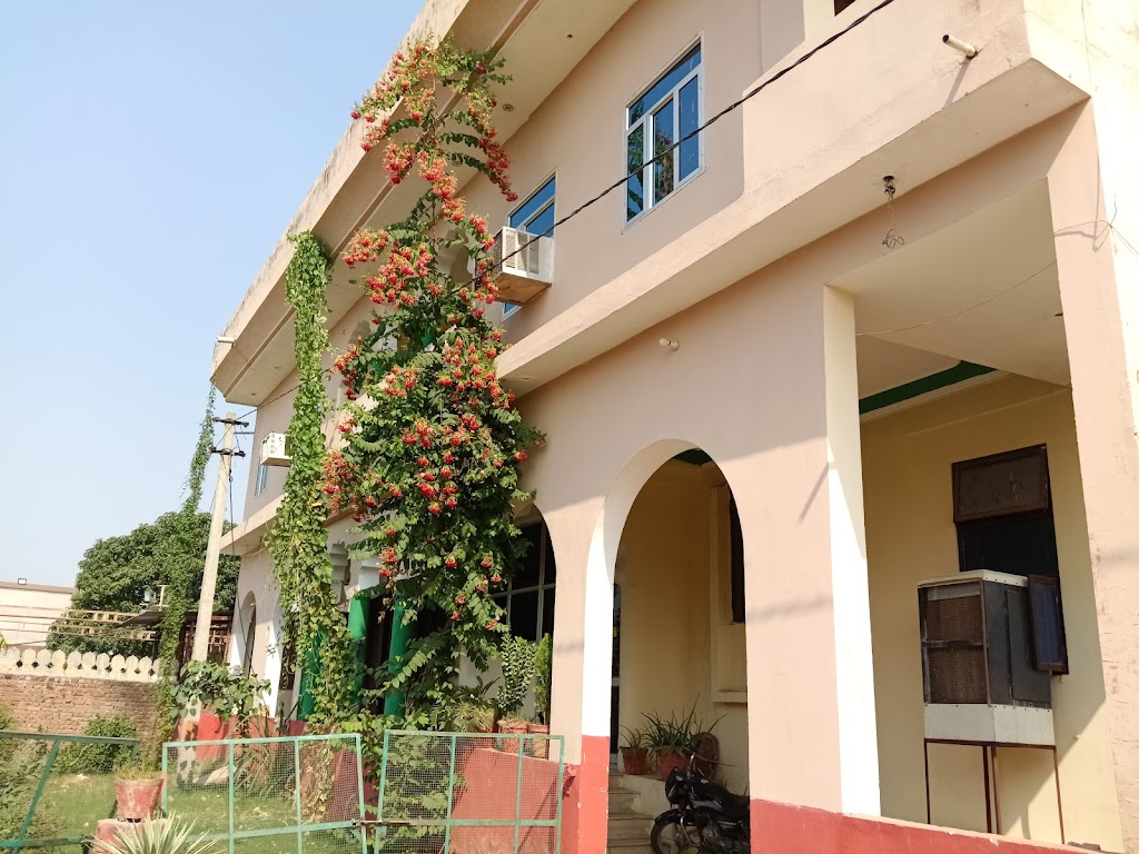 Hotel Amer Resort