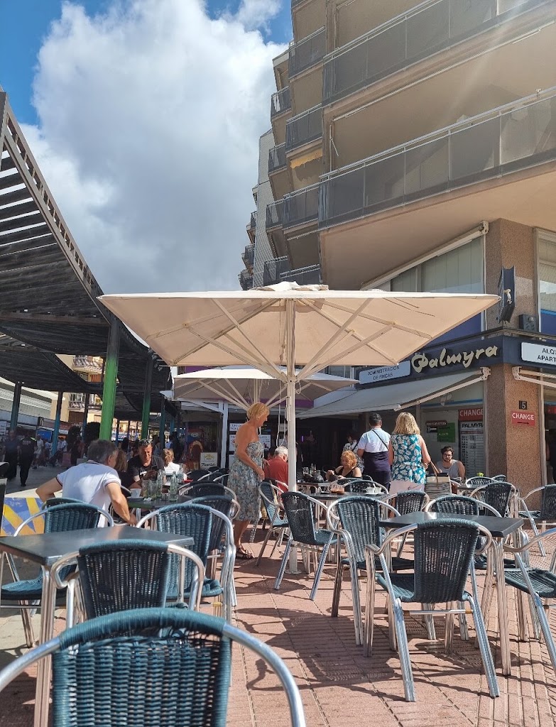 Cafe Venezia — Ambiente