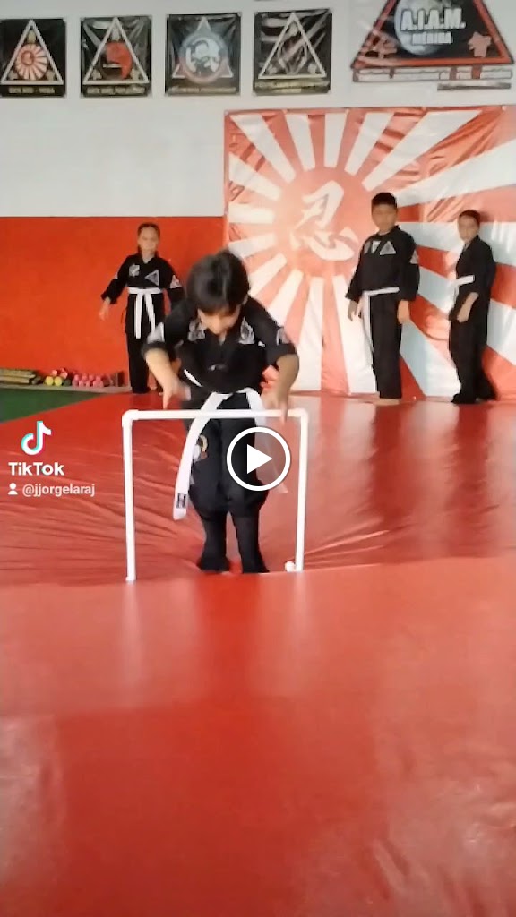 AIAM Merida, Academia Internacional de Artes Marciales — Del propietario