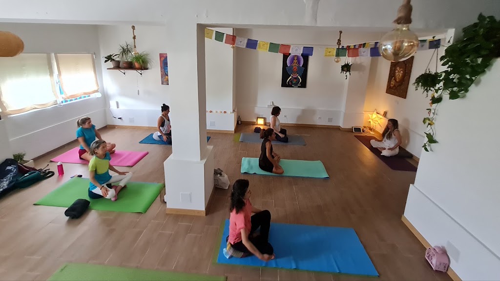 HaraYoga — Yoga