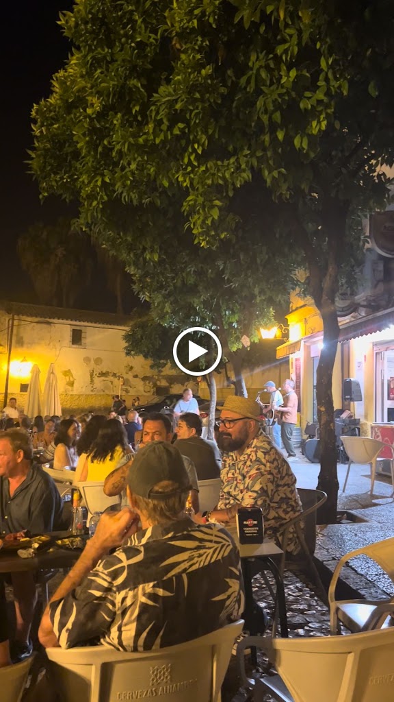 Bar Bienestar — Videos