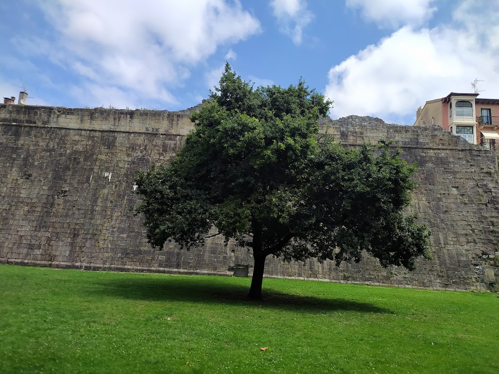 Gernikako Zuhaitza/Arbol de Gernika