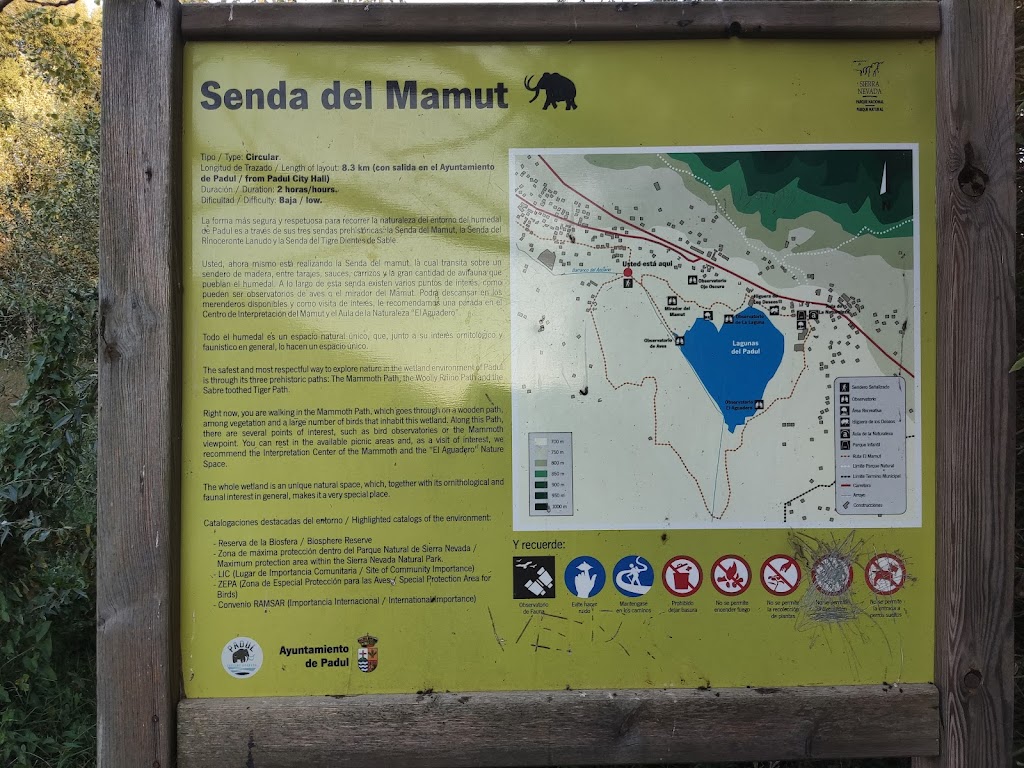 Ruta del Mamut