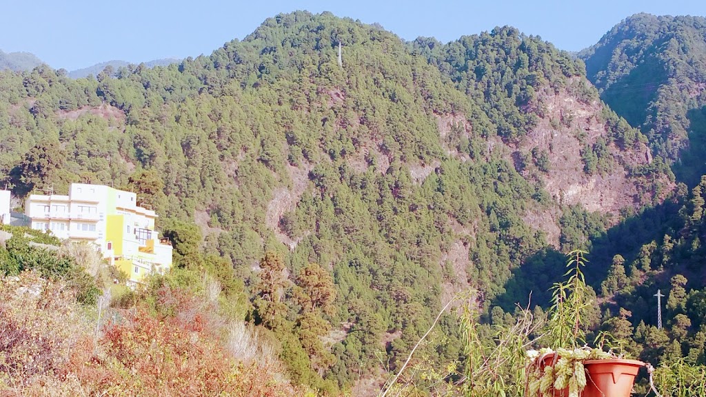 R.E.E. San Miguel de La Palma