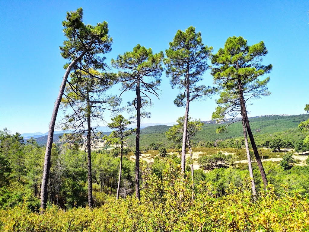 Ruta turistica de los Riscos y Atalayas