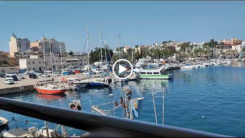 Restaurante La Lonja Aguilas — Videos