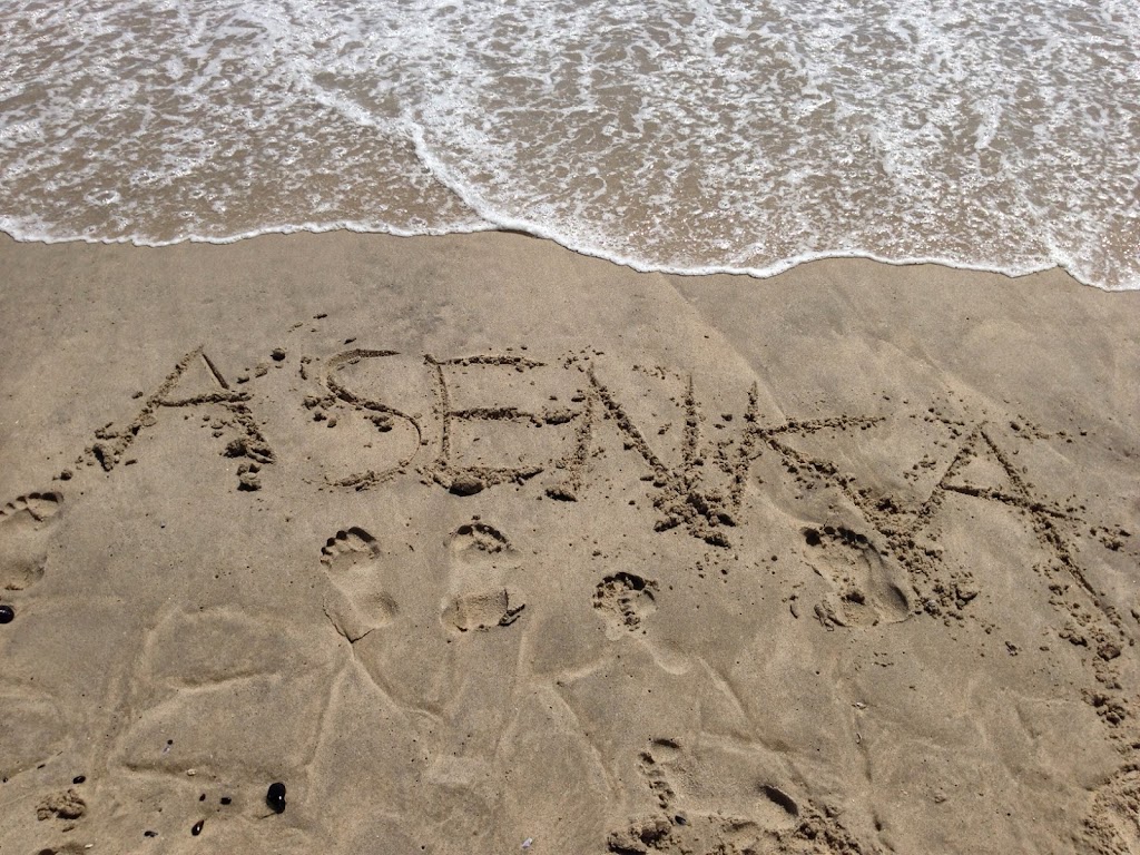 Asenka Interactive