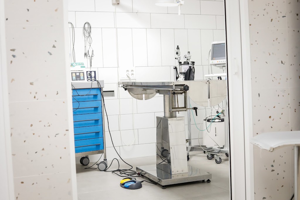 Clinica Veterinaria Bilyana — Del propietario