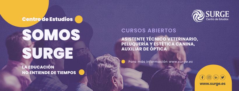 Surge Centro de Estudios Canarias