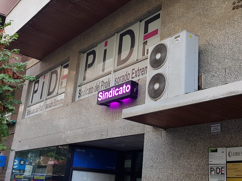 Sindicato PIDE