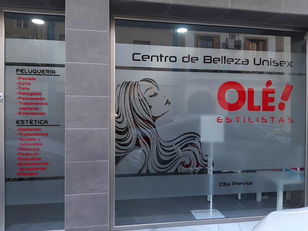 Ole Estilistas (Centro Belleza y Formacion) — Del propietario