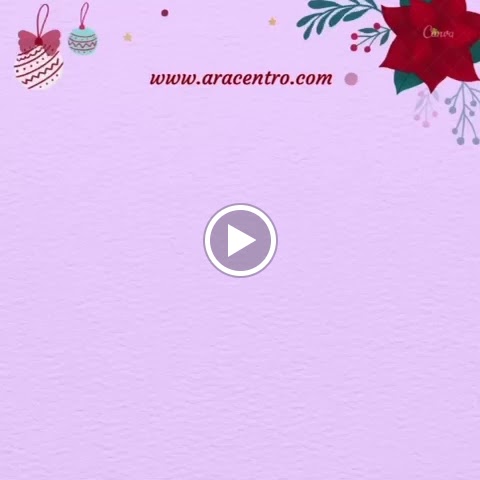 ARA CENTRO. ALICIA REYES ACEDO — Videos