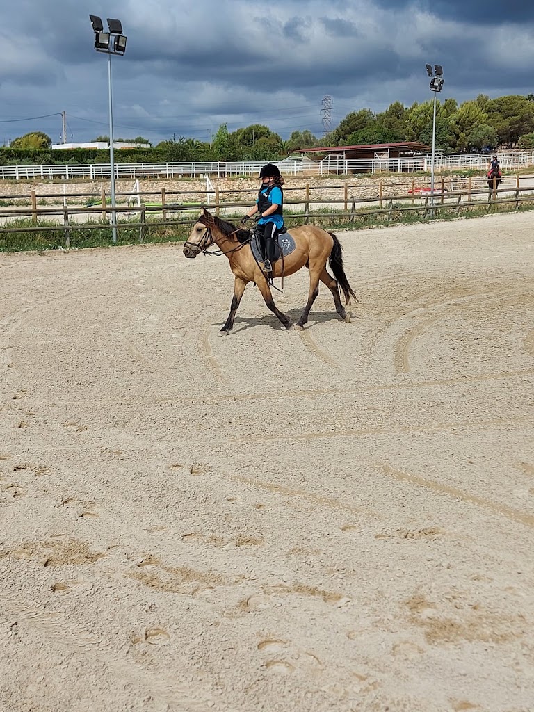 Club Hipico Rosper — Caballo