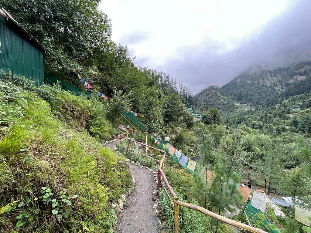 mountain view camping