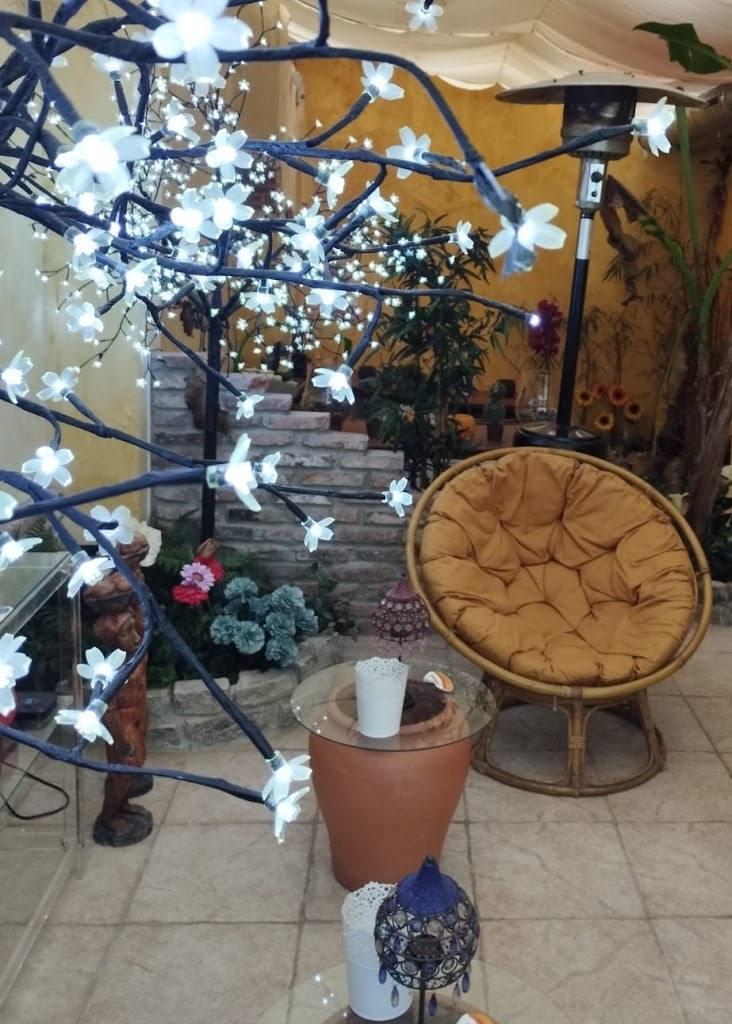 Puedomedicinaestetica