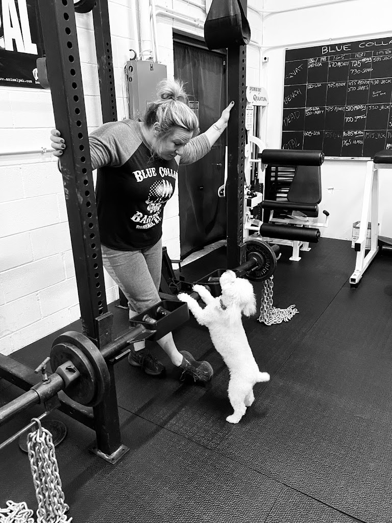  Blue Collar Barbell Private Personal Training Studio