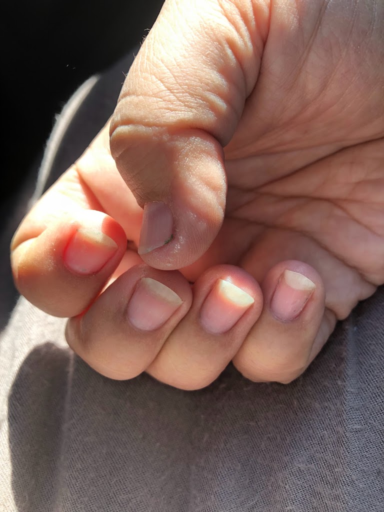 First Blu Cactus Nails Main Image