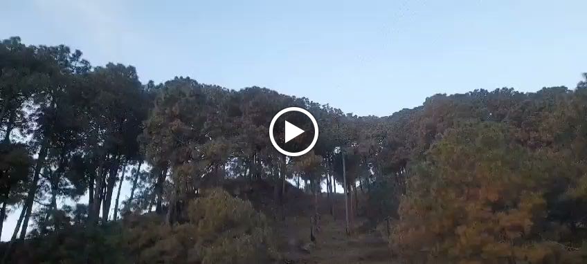 Videos