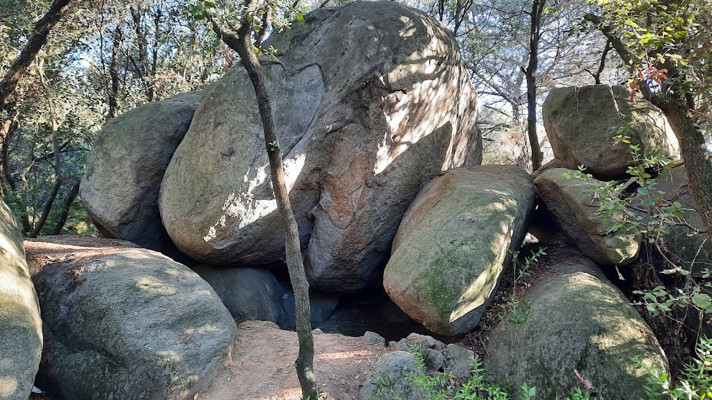 Cova del escorpi