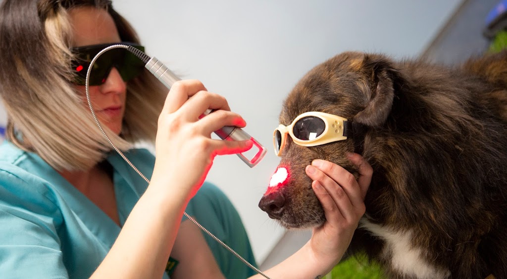 RESET Rehabilitacion Veterinaria