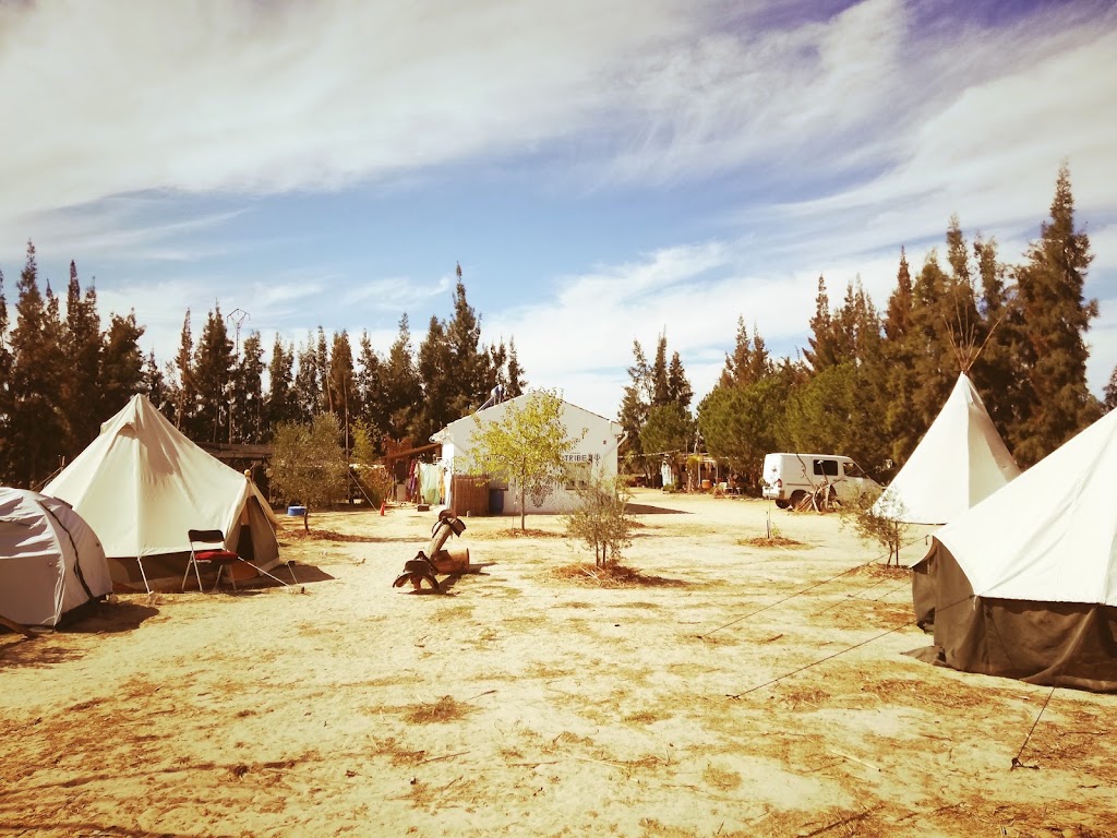 Global Tribe Biodynamic Ecovillage — Del propietario