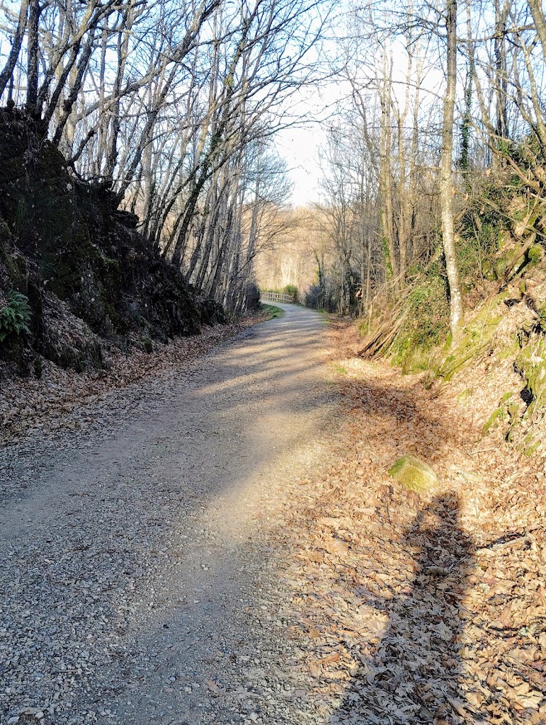 Via verde Bejar - Banos