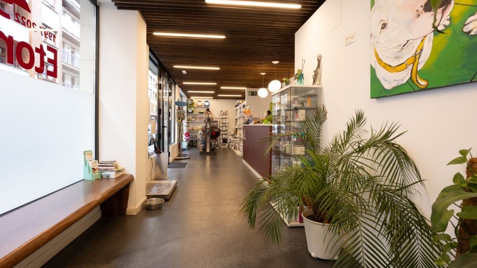 Clinica Veterinaria Etorbide Amorebieta