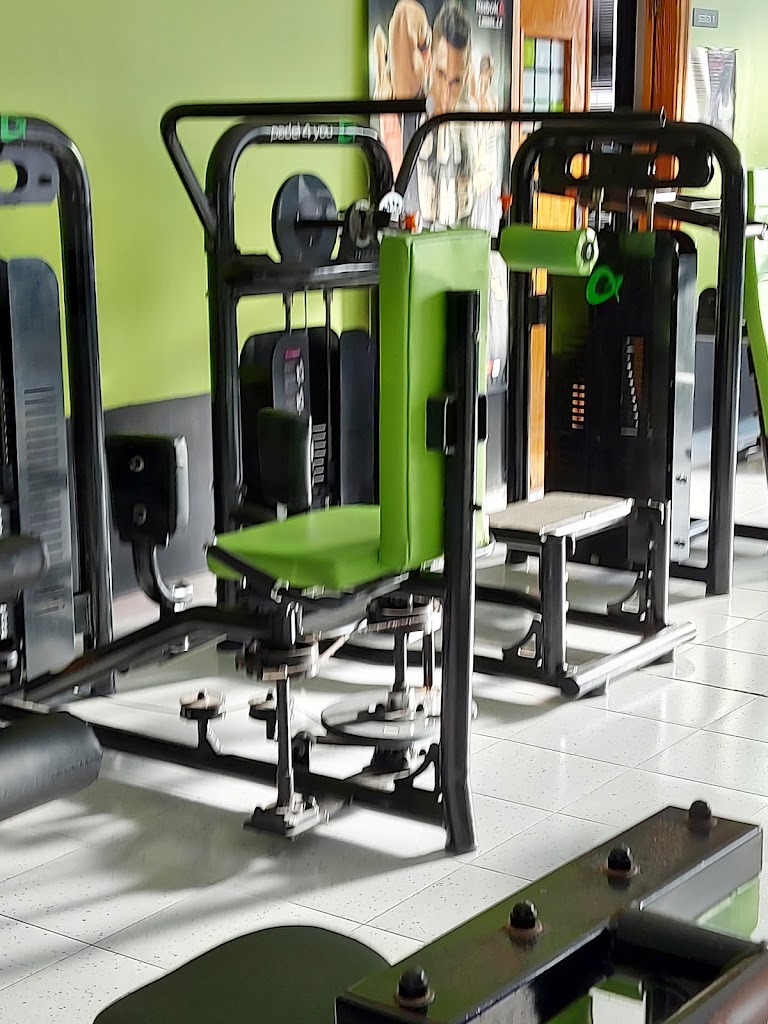 Padel 4 You — Gimnasio