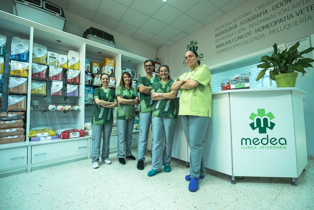 Clinica Veterinaria Medea — Del propietario
