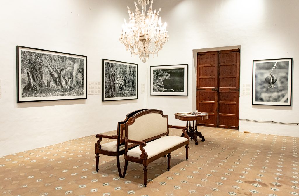 Can Costa - Art i Cultura - Casa Natal del Poeta Miquel Costa i LLobera — Del propietario