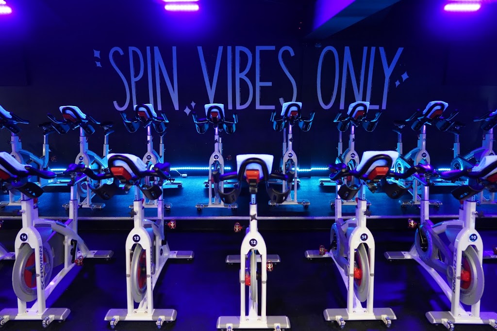 Vibe Cycle
