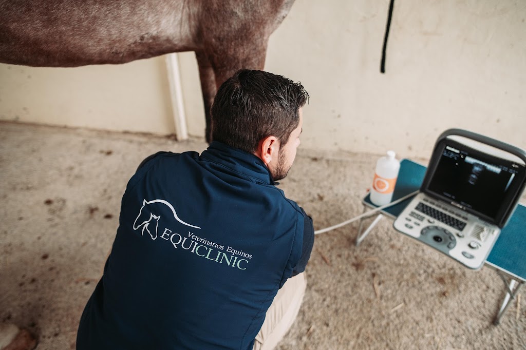 EQUICLINIC VETERINARIOS (EQUIDOS & MASCOTAS) — Del propietario