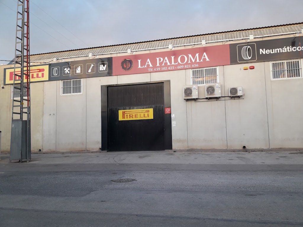 Confortauto Neumaticos La Paloma I — Exterior