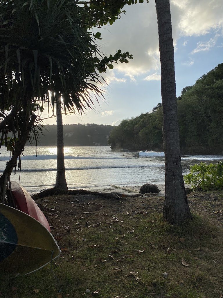 Bumi perkemahan gamat