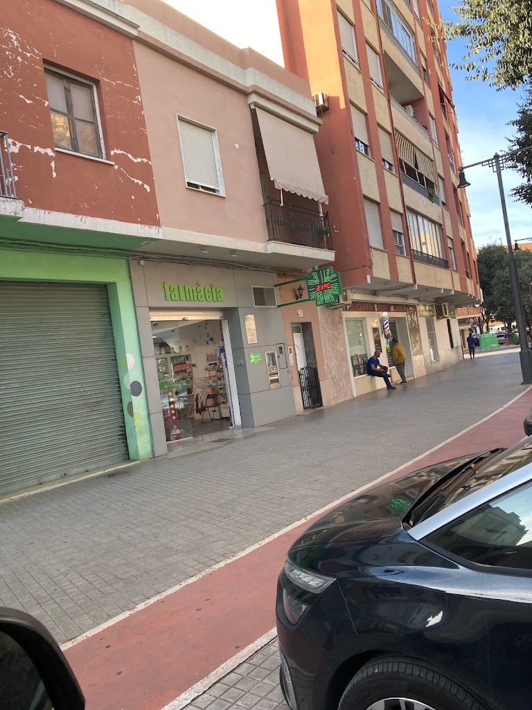 Maria Elvira Benedito Fortea