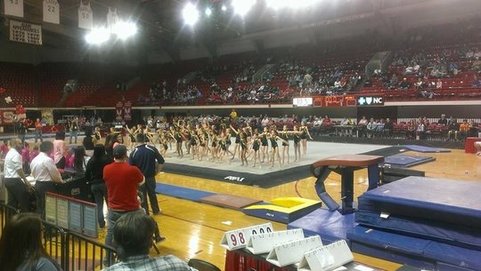  Team Attraction Gymnastics