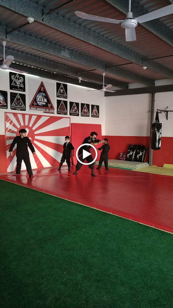 AIAM Merida, Academia Internacional de Artes Marciales — Videos