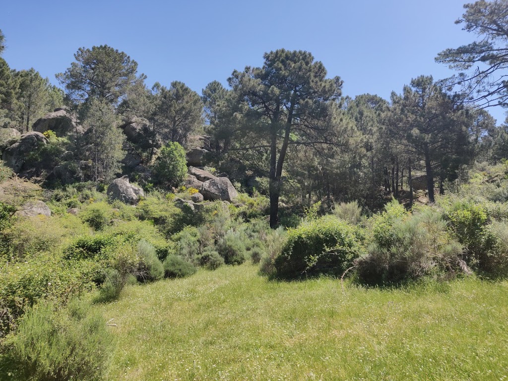 Senda botanica, Valle de Iruelas