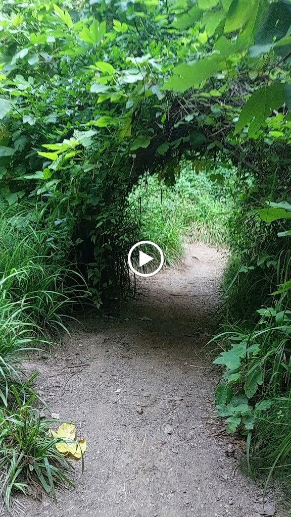 Font de la Teula — Videos