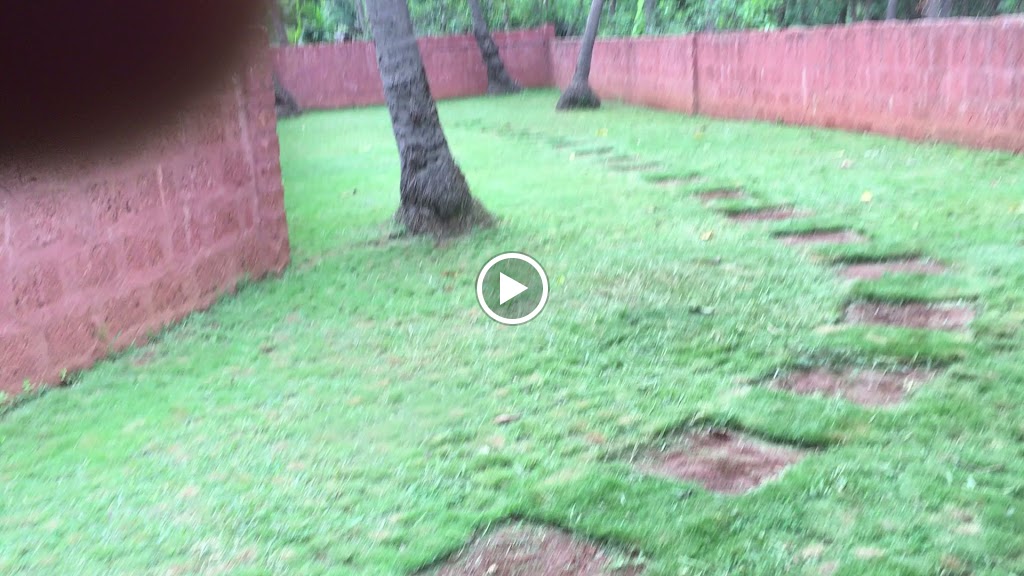 Videos