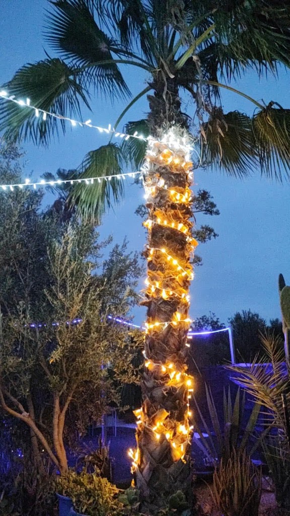 Terraza Las Palmeras — Del propietario