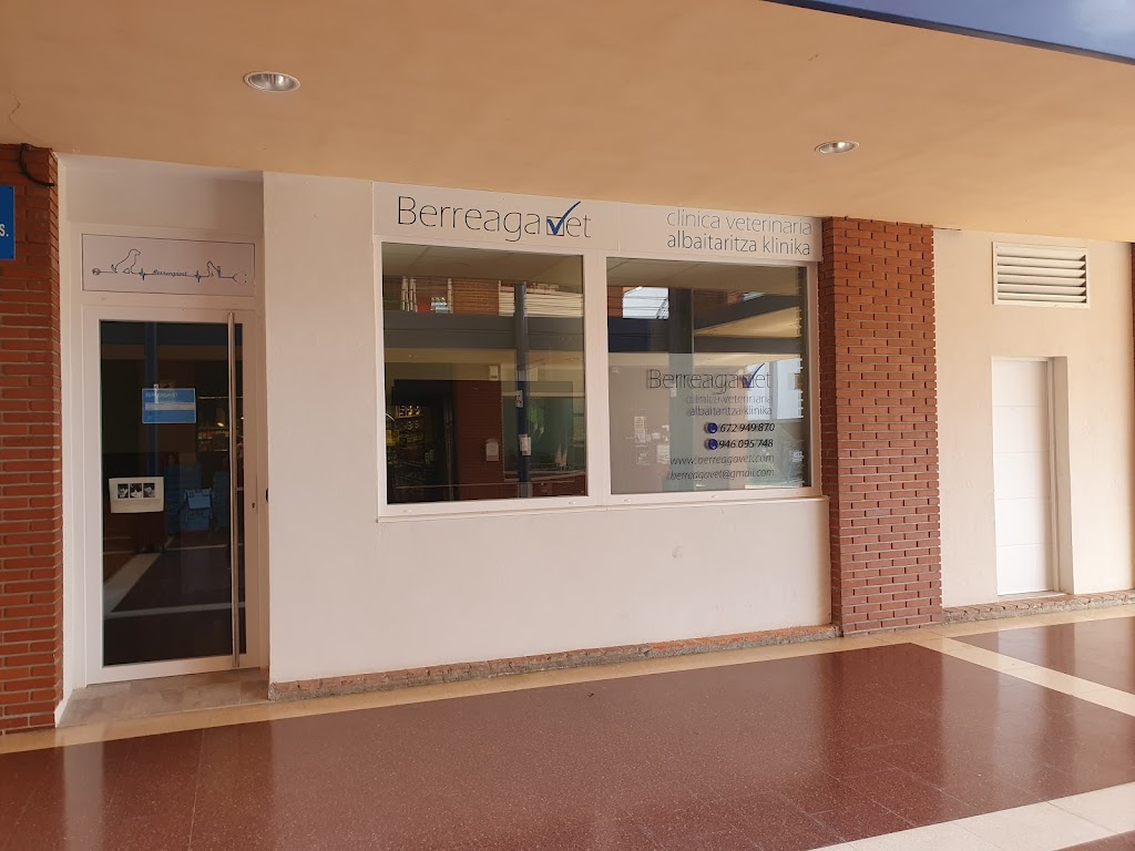 Berreagavet Clinica Veterinaria