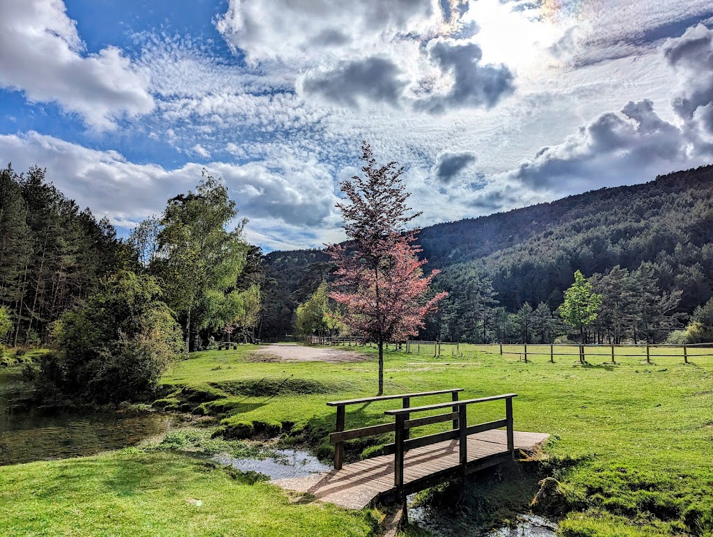 Nacimiento del Rio Arlanza