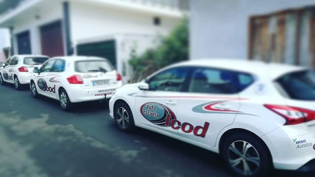 Autoescuela Icod — Del propietario