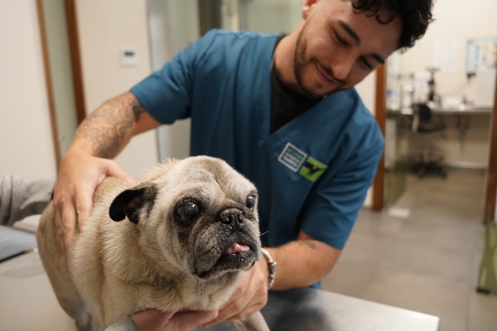 Clinica Veterinaria Tudela