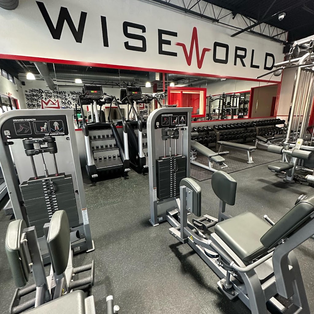  Wise World of Fitness